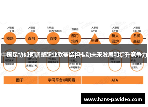中国足协如何调整职业联赛结构推动未来发展和提升竞争力