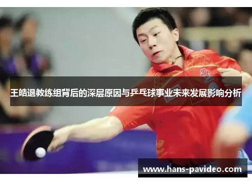 王皓退教练组背后的深层原因与乒乓球事业未来发展影响分析