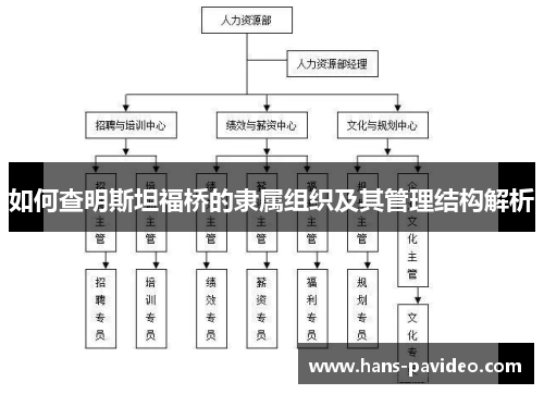 如何查明斯坦福桥的隶属组织及其管理结构解析