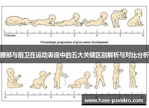 腰部与前卫在运动表现中的五大关键区别解析与对比分析