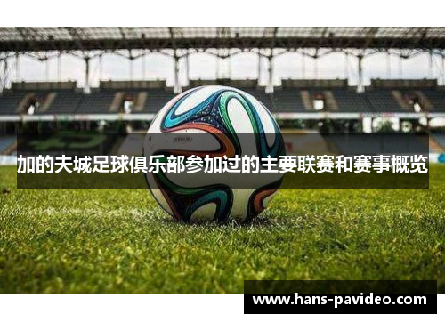 加的夫城足球俱乐部参加过的主要联赛和赛事概览